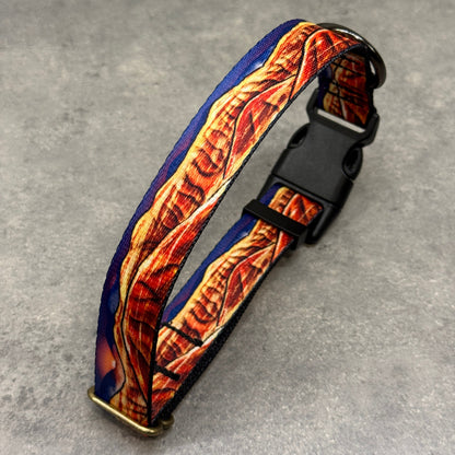 Ember Painted Hills | Handmade Dog Collar
