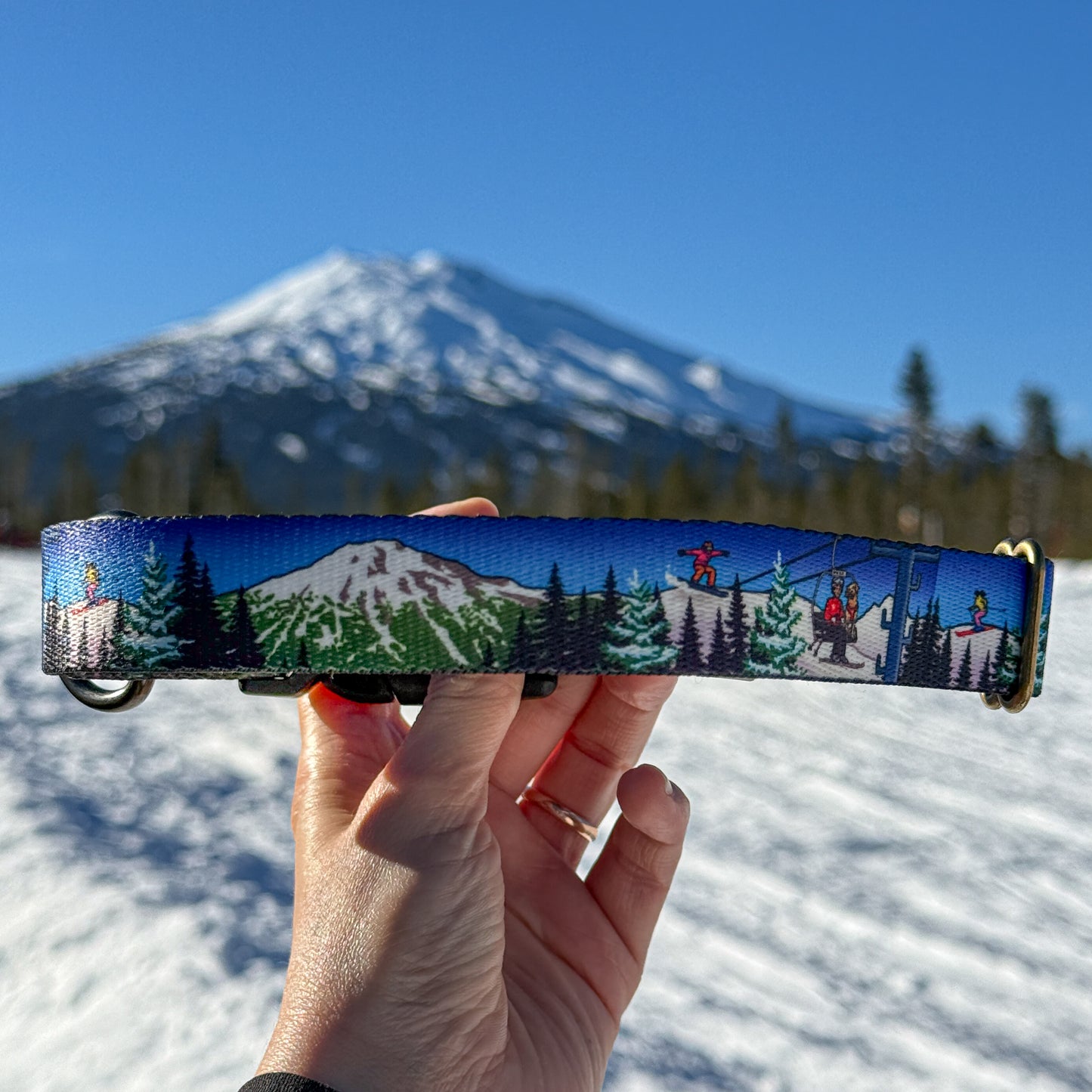 Bluebird Mt. Bachelor | Handmade Dog Collar