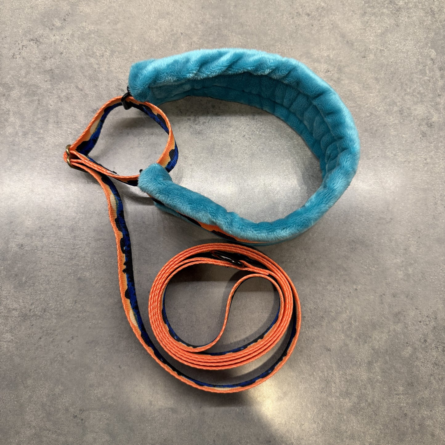Retro Rockaway Minky Slip Collar + Built-In Leash