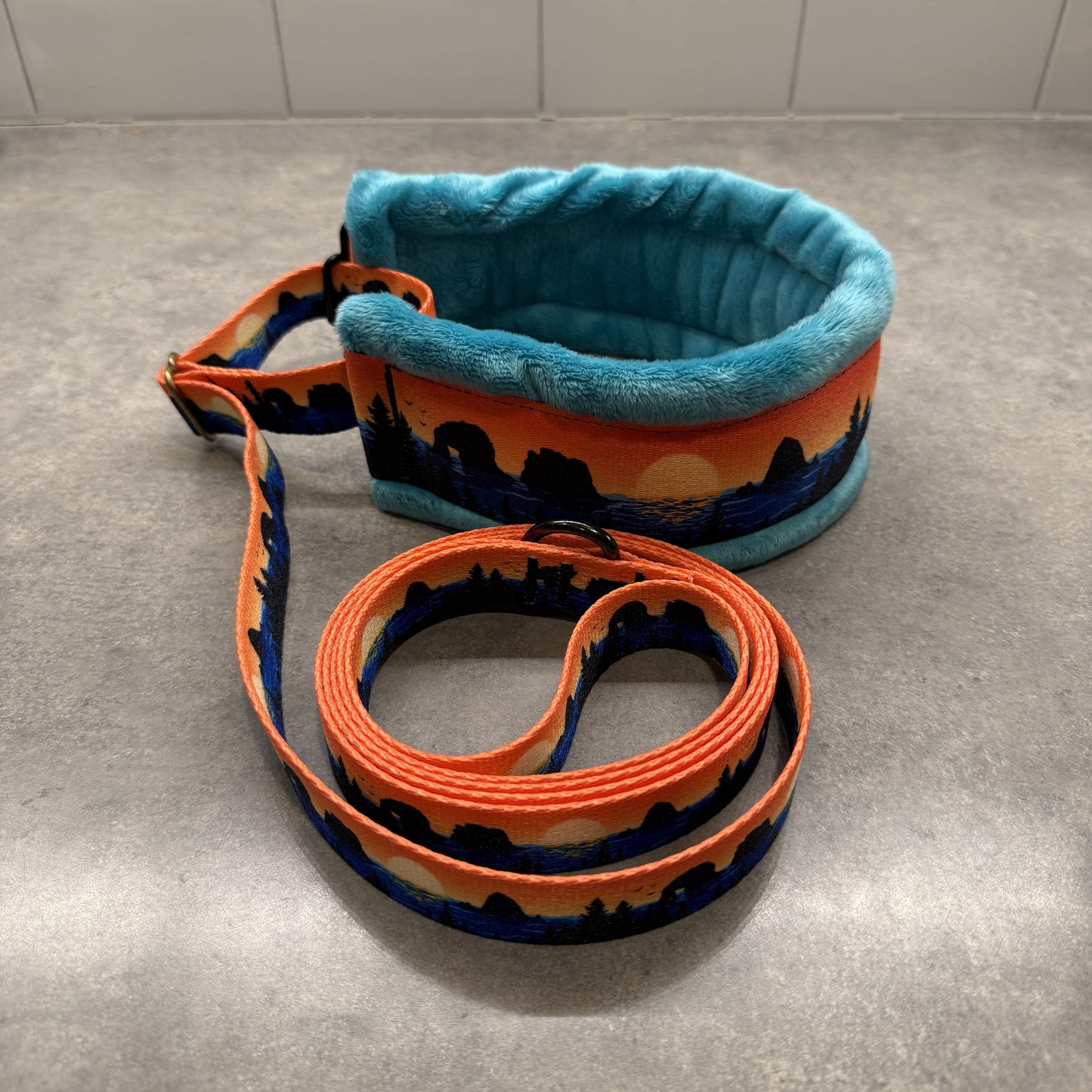 Retro Rockaway Minky Slip Collar + Built-In Leash