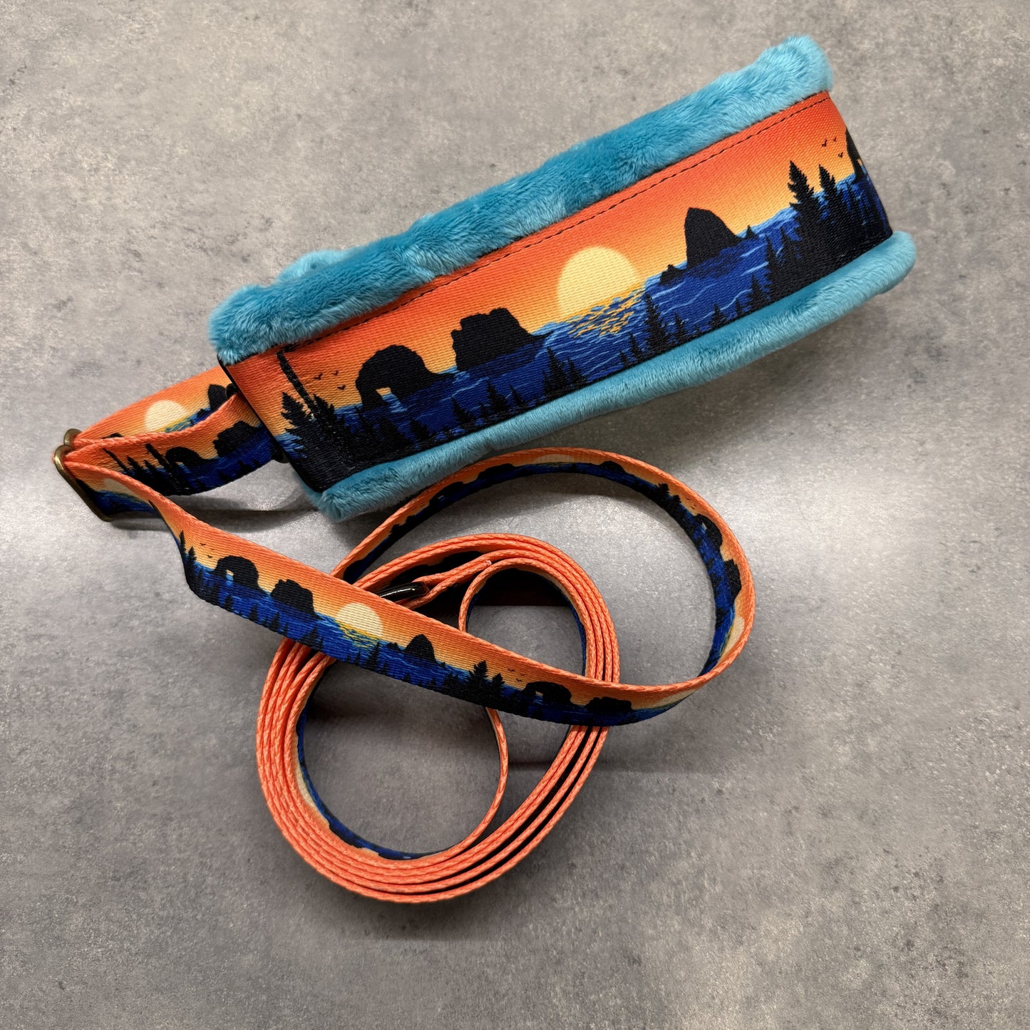 Retro Rockaway Minky Slip Collar + Built-In Leash