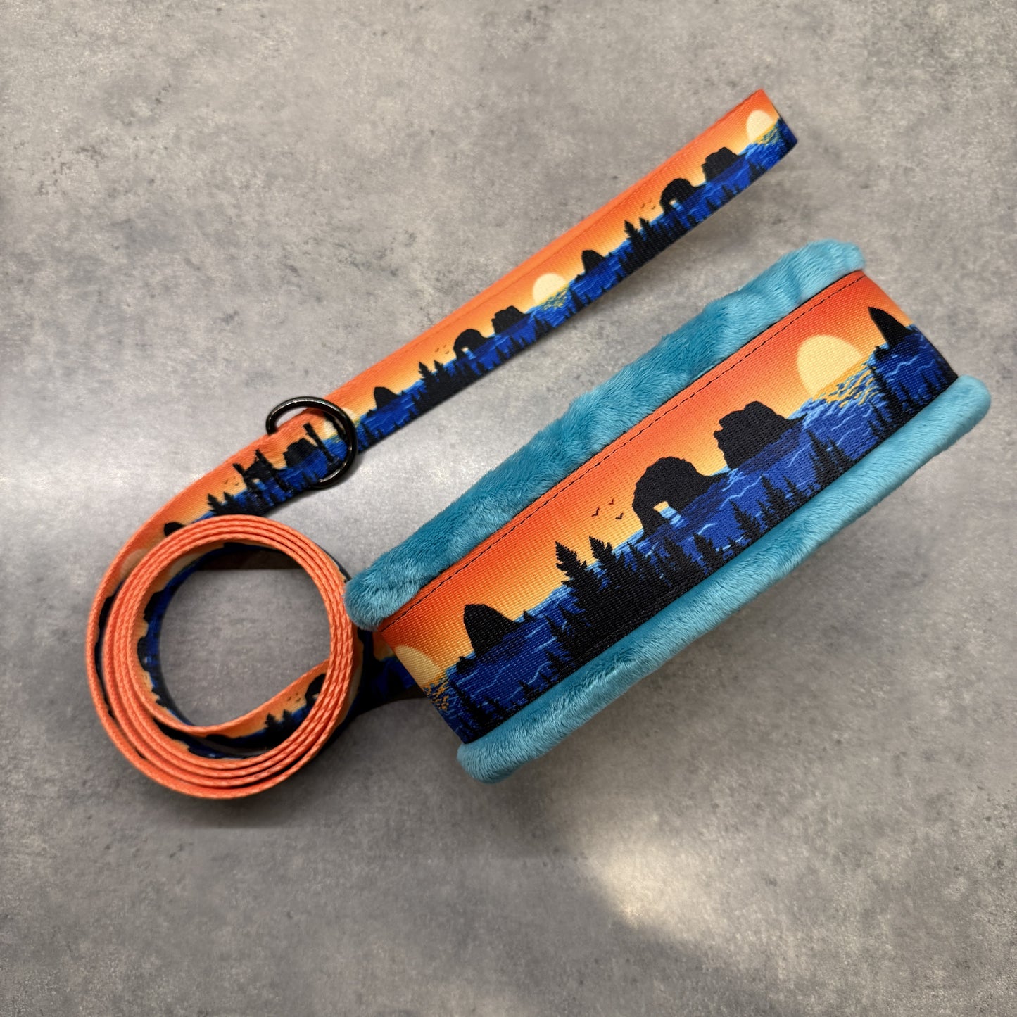 Retro Rockaway Minky Slip Collar + Built-In Leash