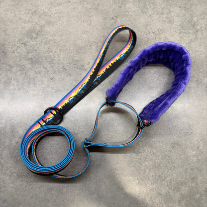 Sunset Three Sisters Minky Slip Collar + Built-In Leash