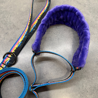 Sunset Three Sisters Minky Slip Collar + Built-In Leash