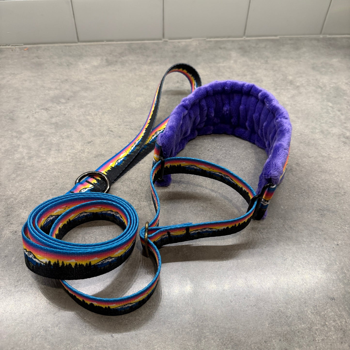 Sunset Three Sisters Minky Slip Collar + Built-In Leash