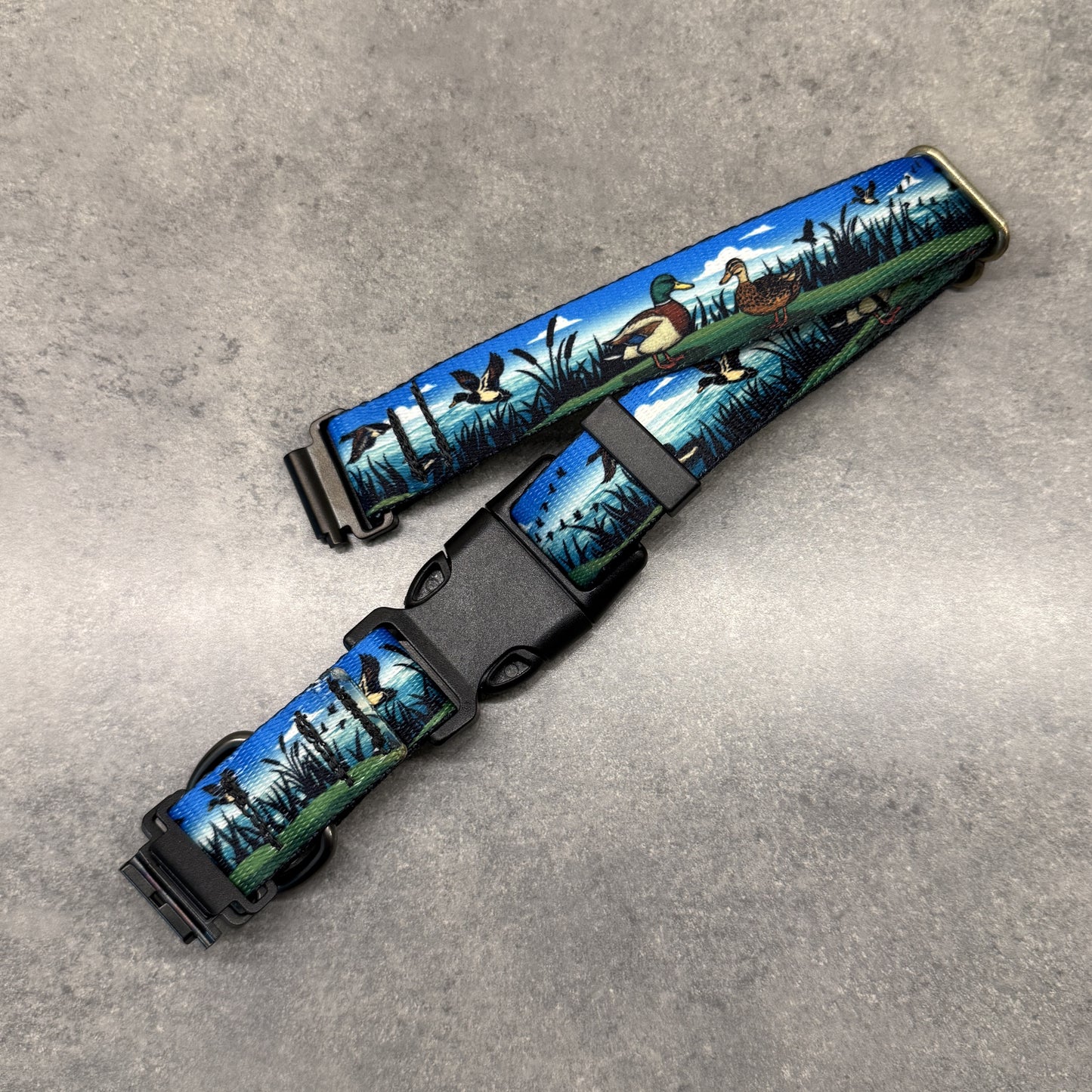 Mallard Marshes | FI Series 3/3+ Compatible Collar