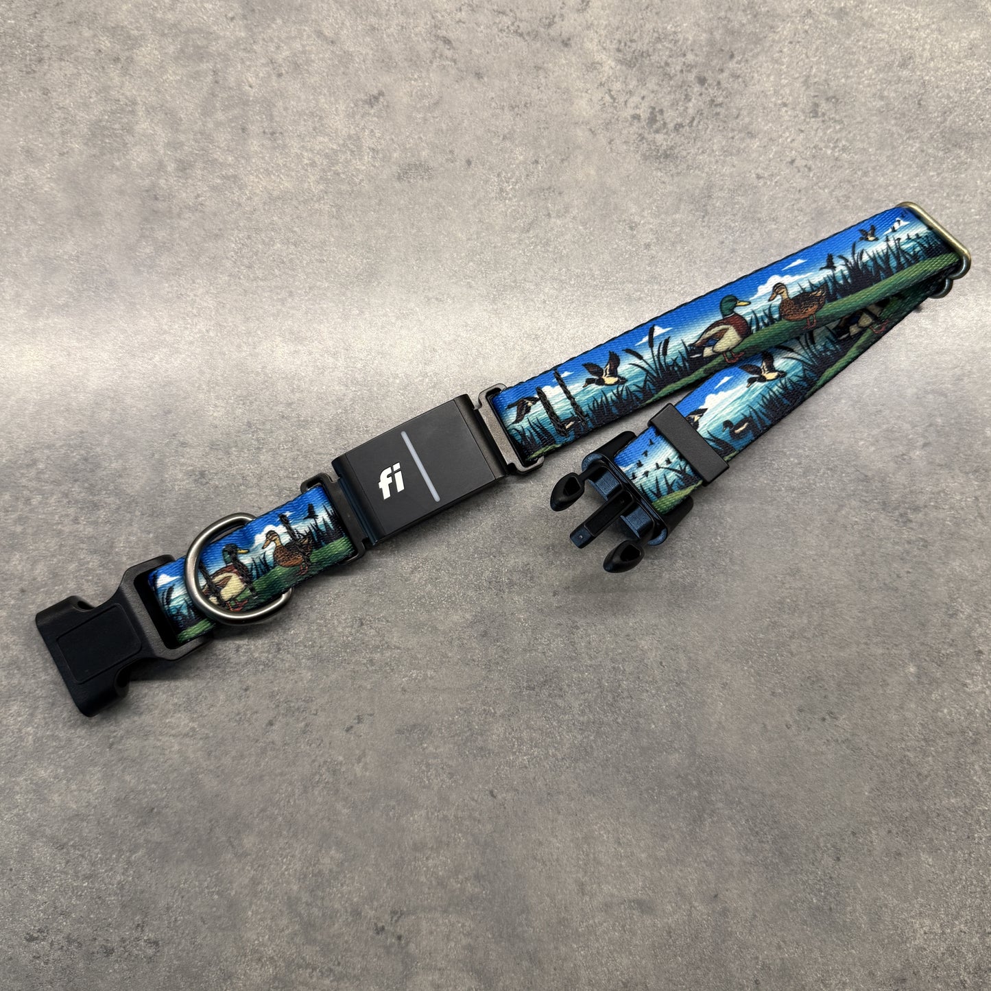 Mallard Marshes | FI Series 3/3+ Compatible Collar