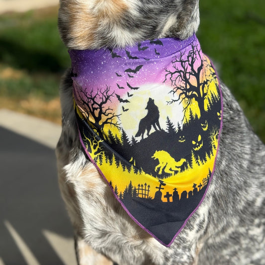 Spooky Howl-O-ween | Tie on Dog Bandana