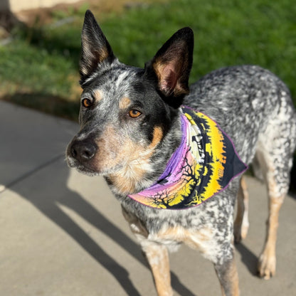 Spooky Howl-O-ween | Tie on Dog Bandana