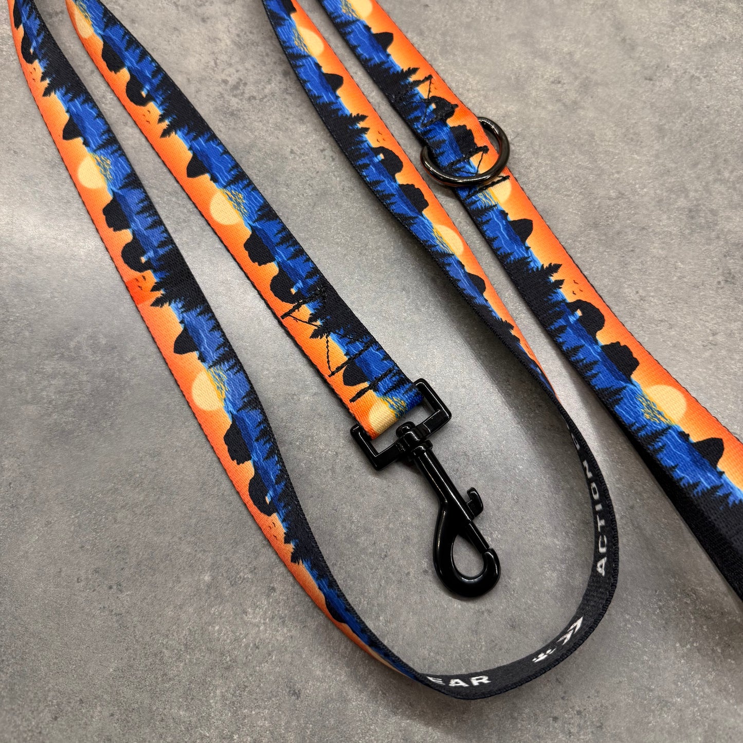 Retro Rockaway | 6ft Leash