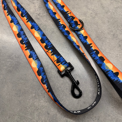 Retro Rockaway | 6ft Leash