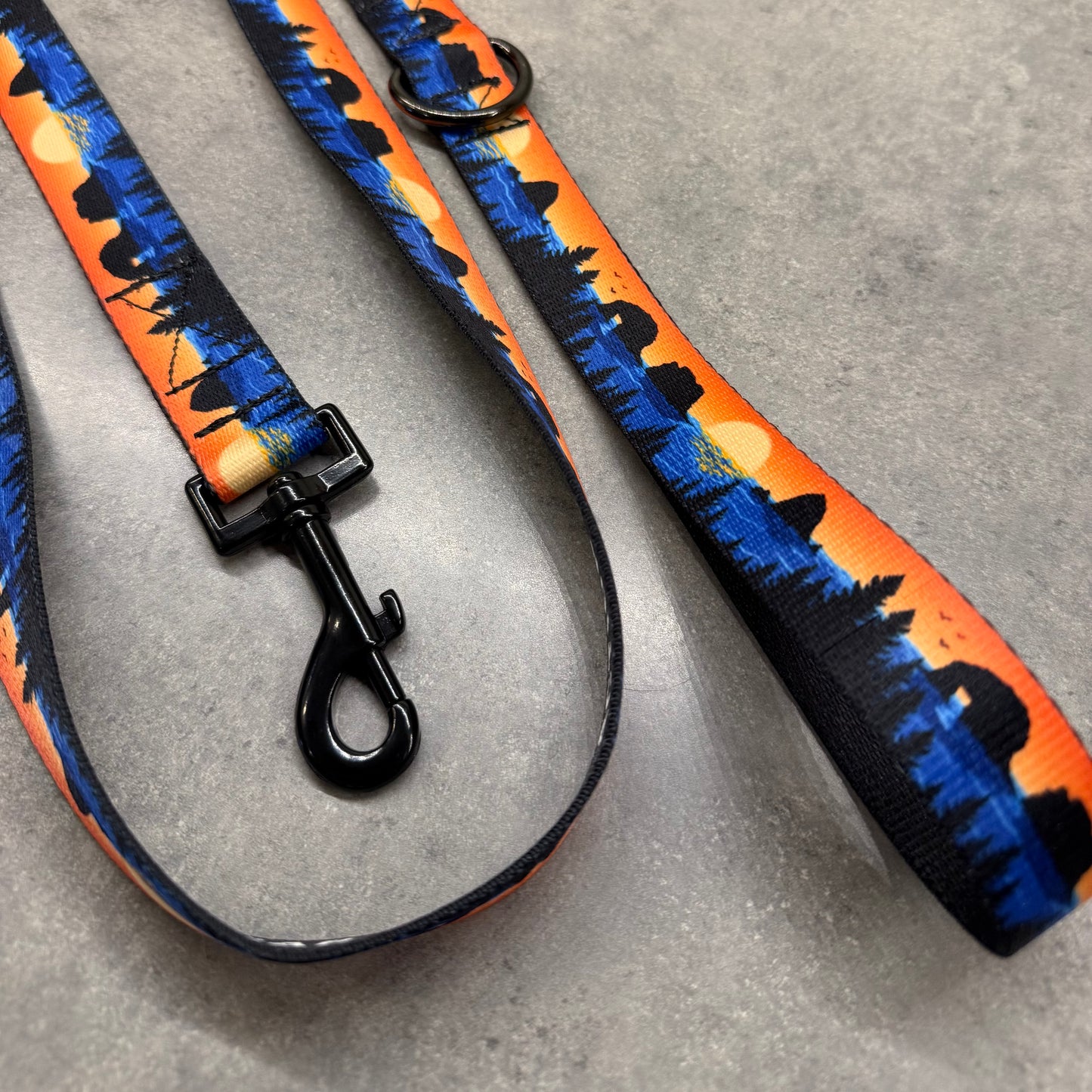 Retro Rockaway | 6ft Leash