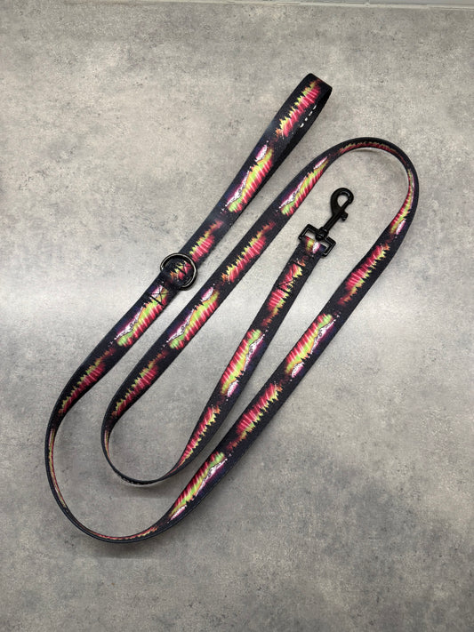 Aurora Mountain Magic | 6ft Leash