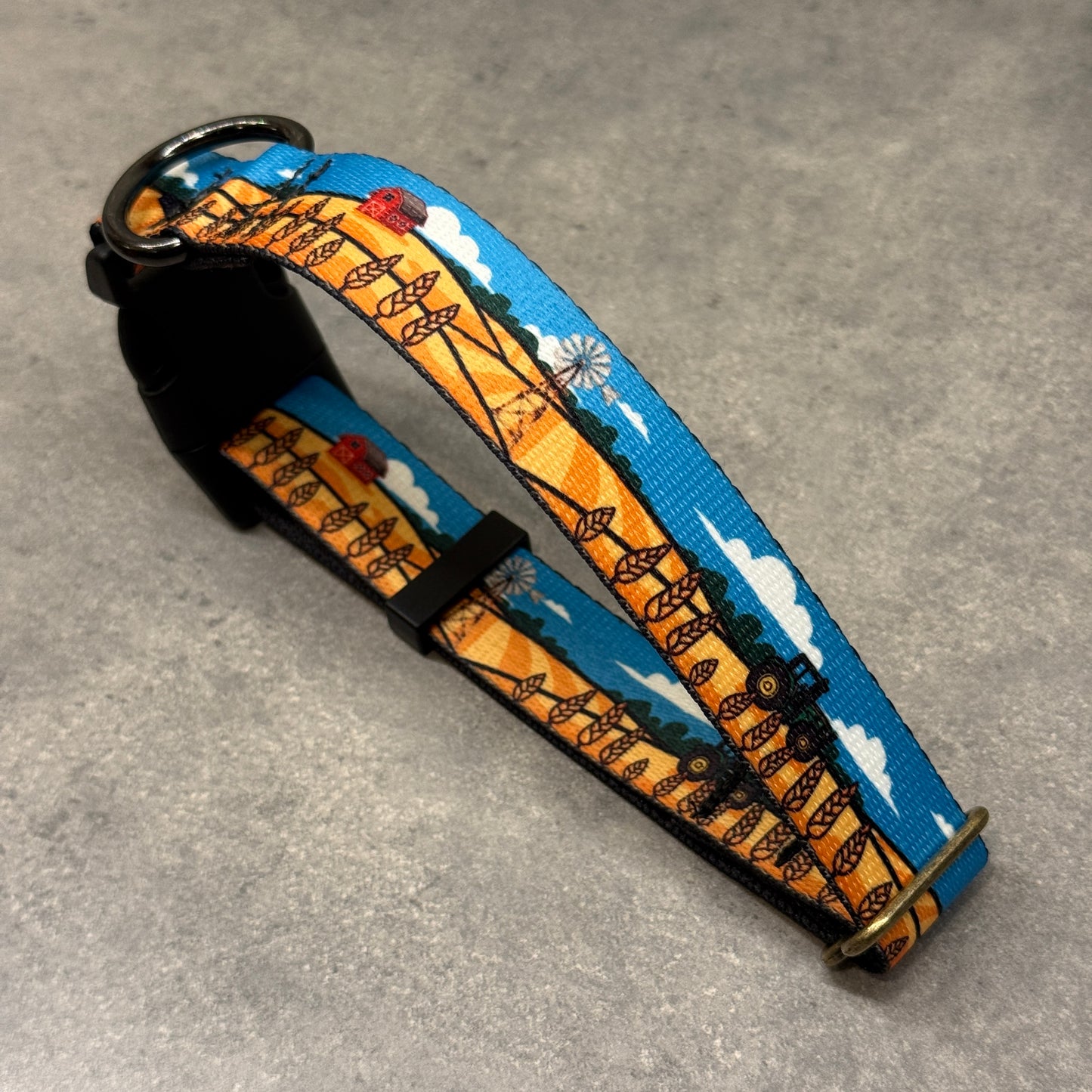 Custom Designed Collar and/or Leash | Handmade Dog Collar