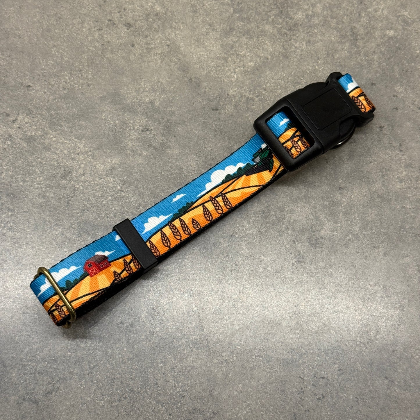 Custom Designed Collar and/or Leash | Handmade Dog Collar