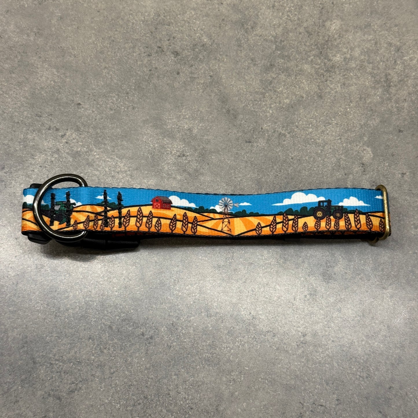 Custom Designed Collar and/or Leash | Handmade Dog Collar