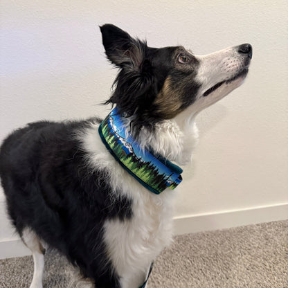 Blue Sky Three Sisters Minky Slip Collar + Built-In Leash