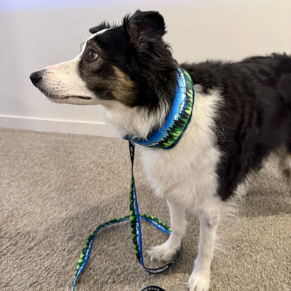 Blue Sky Three Sisters Minky Slip Collar + Built-In Leash