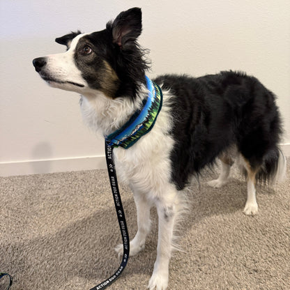 Blue Sky Three Sisters Minky Slip Collar + Built-In Leash