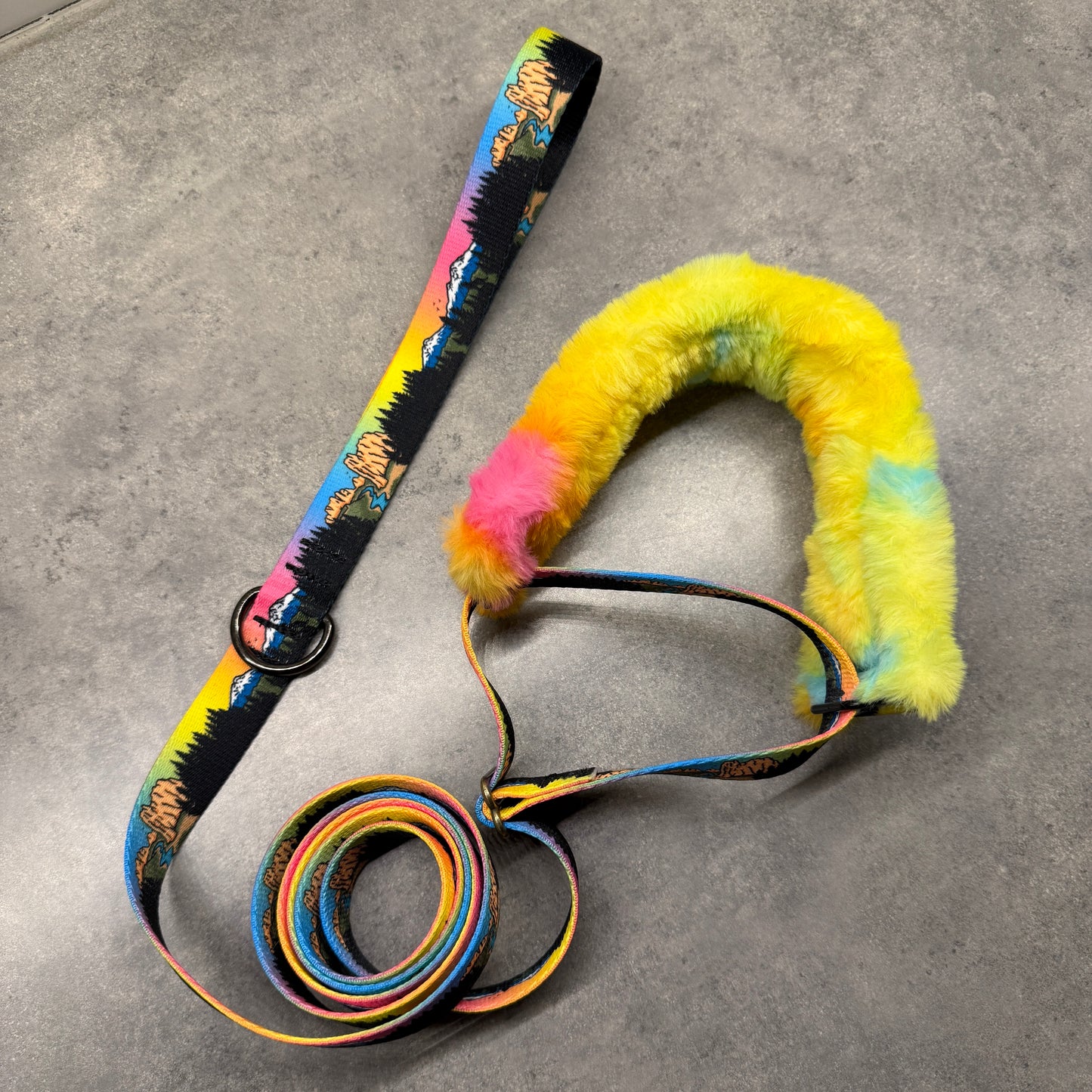 Central Oregon Wonders Minky Slip Collar + Built-In Leash