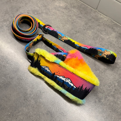 Central Oregon Wonders Minky Slip Collar + Built-In Leash