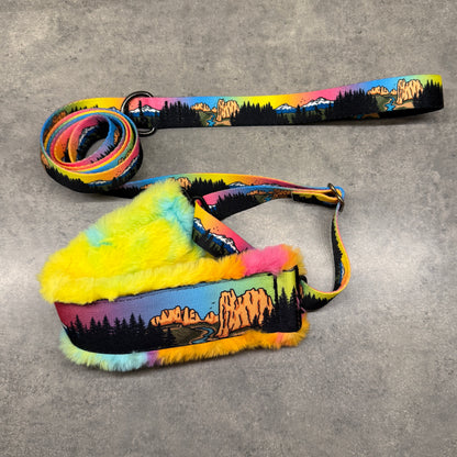 Central Oregon Wonders Minky Slip Collar + Built-In Leash