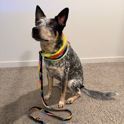 Central Oregon Wonders Minky Slip Collar + Built-In Leash