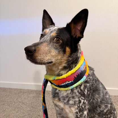 Central Oregon Wonders Minky Slip Collar + Built-In Leash