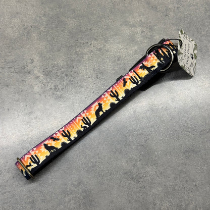 Vibrant Desert Dog Collar | Handmade Dog Collar