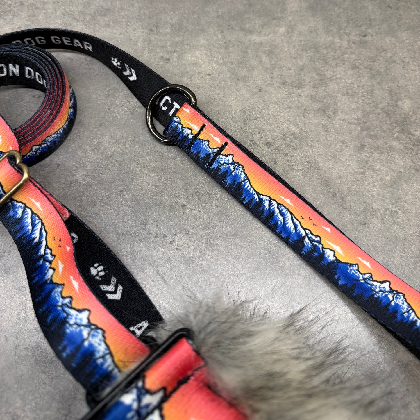 Rosegold Tetons Natural Minky Slip Collar + Built-In Leash | Handmade