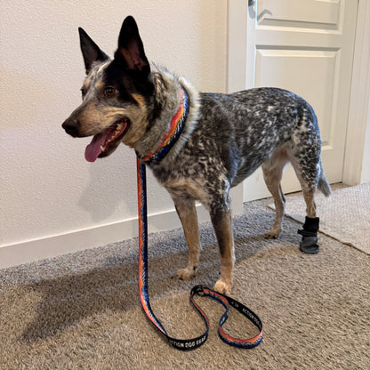 Rosegold Tetons Natural Minky Slip Collar + Built-In Leash | Handmade