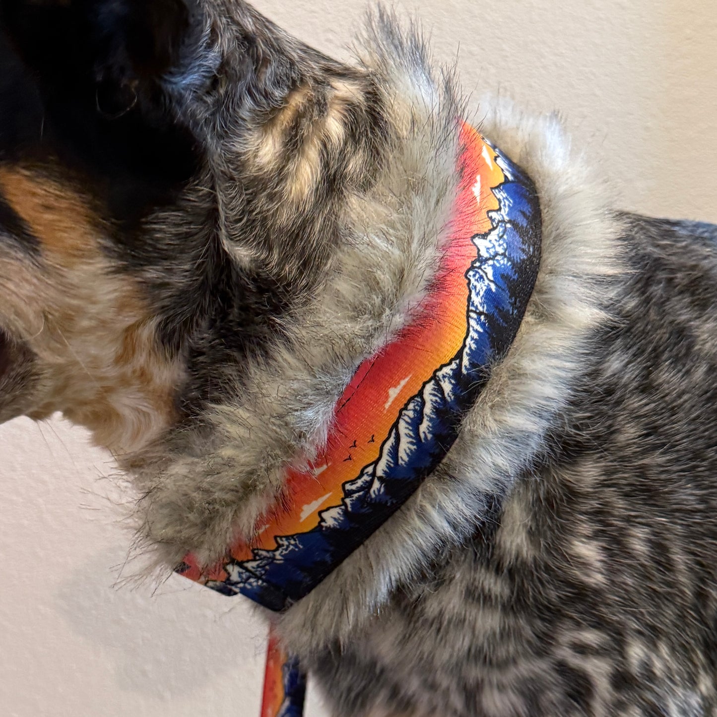 Rosegold Tetons Natural Minky Slip Collar + Built-In Leash | Handmade