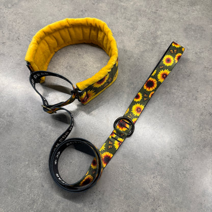 Sunflower Paradise Minky Slip Leash