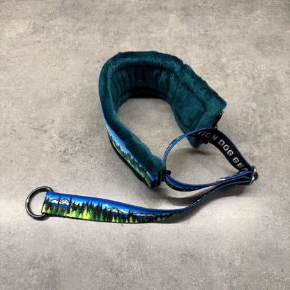 Blue Sky Three Sisters Minky Slip Leash or Martingale | Handmade