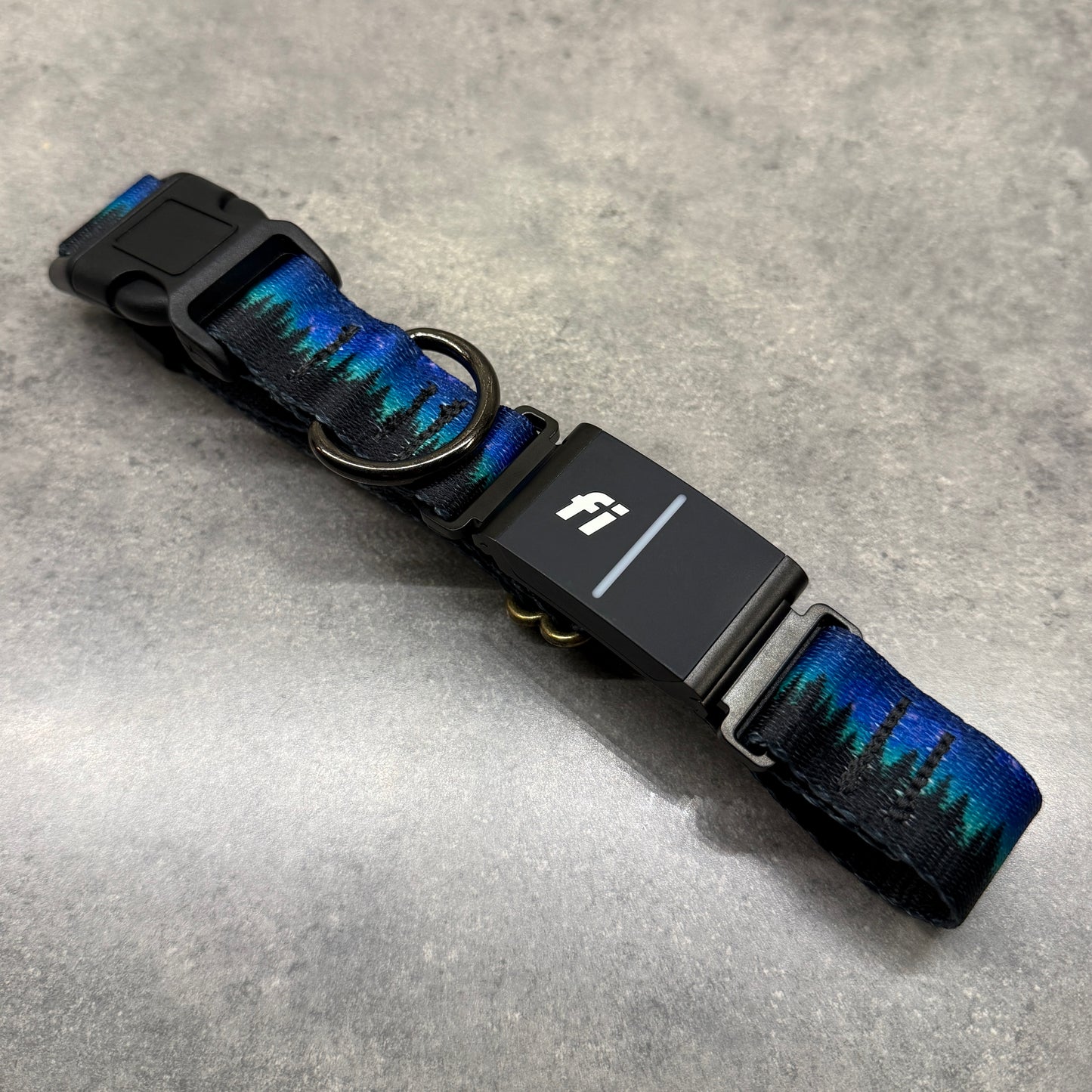 Midnight Wolf | FI Series 3/3+ Compatible Collar