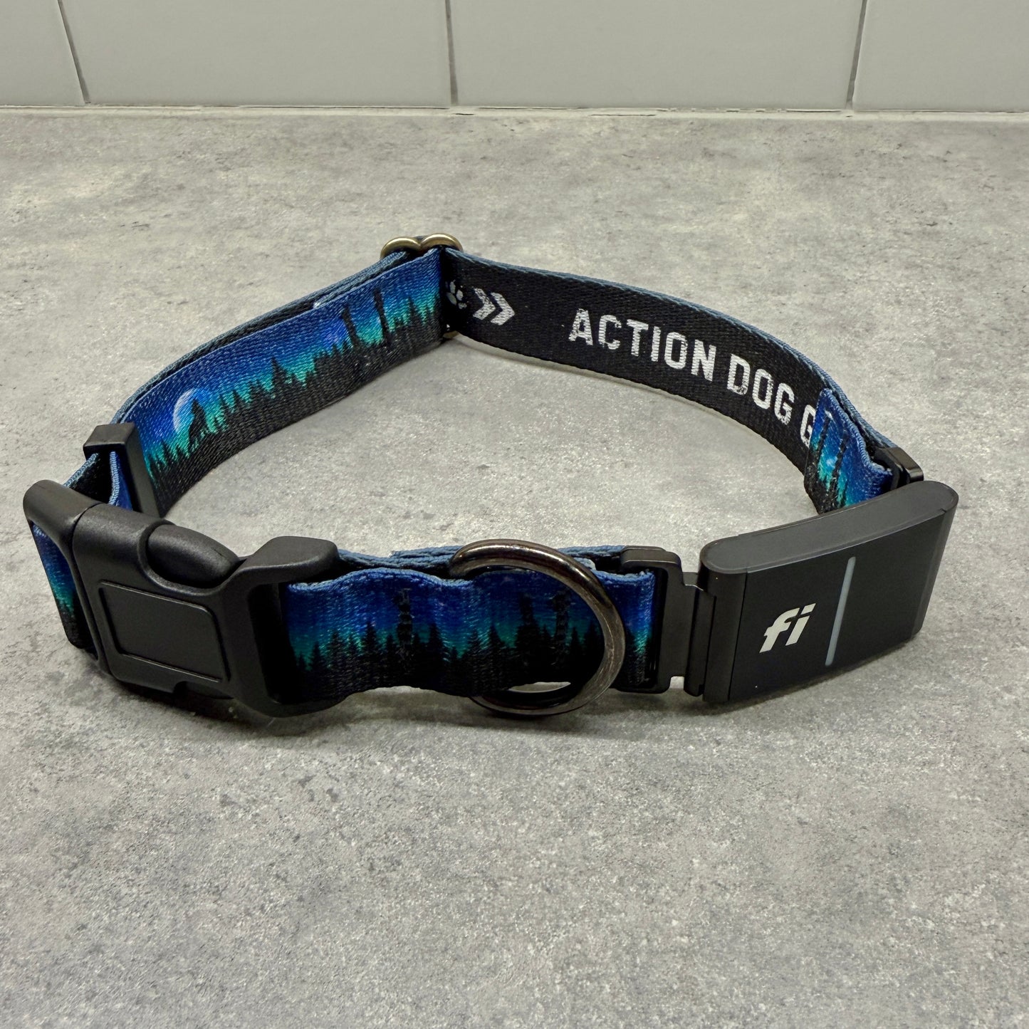 Midnight Wolf | FI Series 3/3+ Compatible Collar