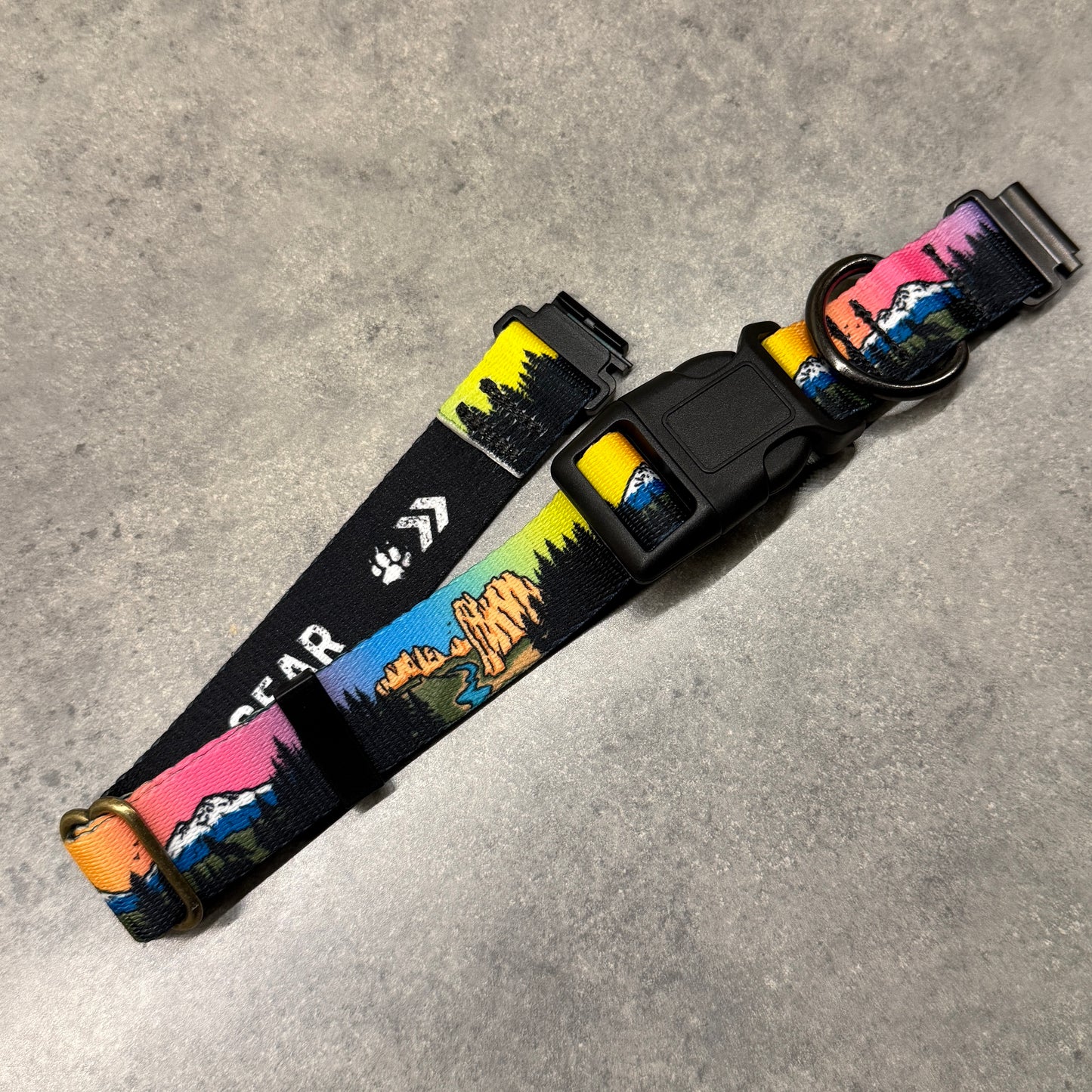Central Oregon Wonders| FI Series 3/3+ Compatible Collar