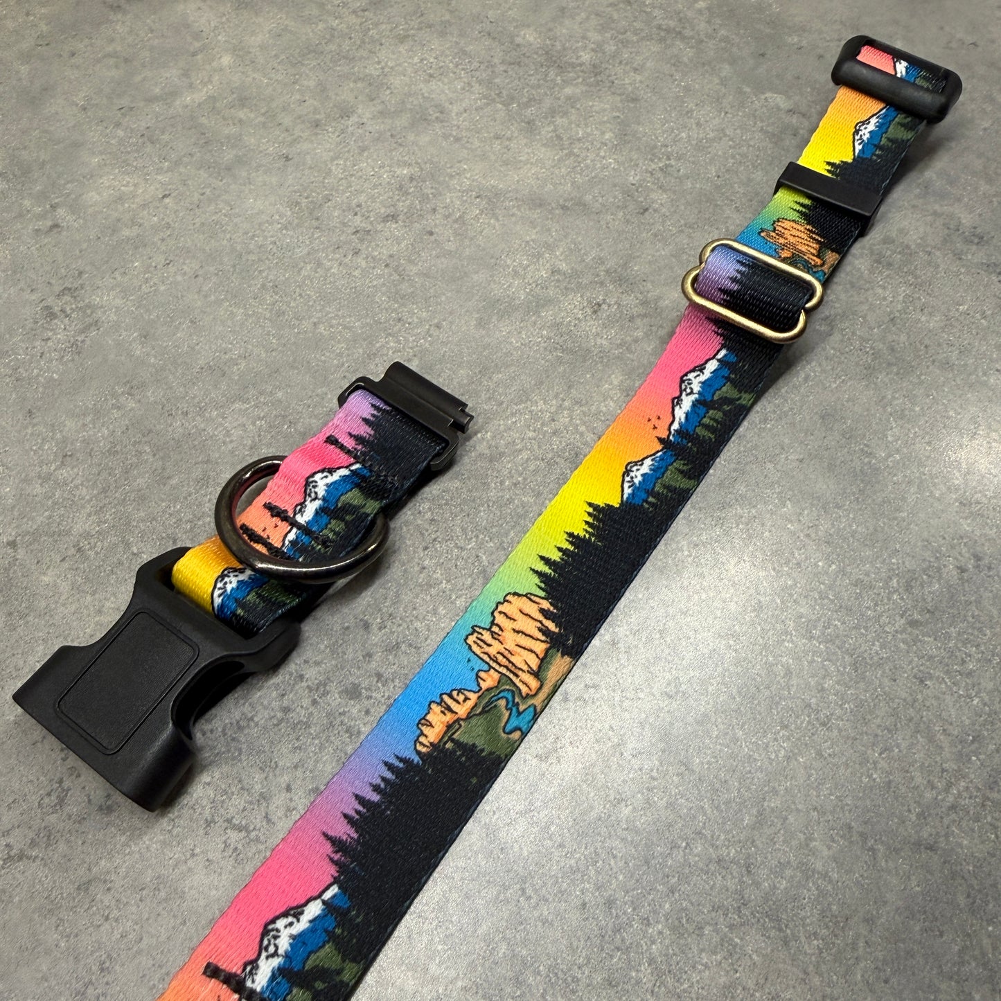 Central Oregon Wonders| FI Series 3/3+ Compatible Collar