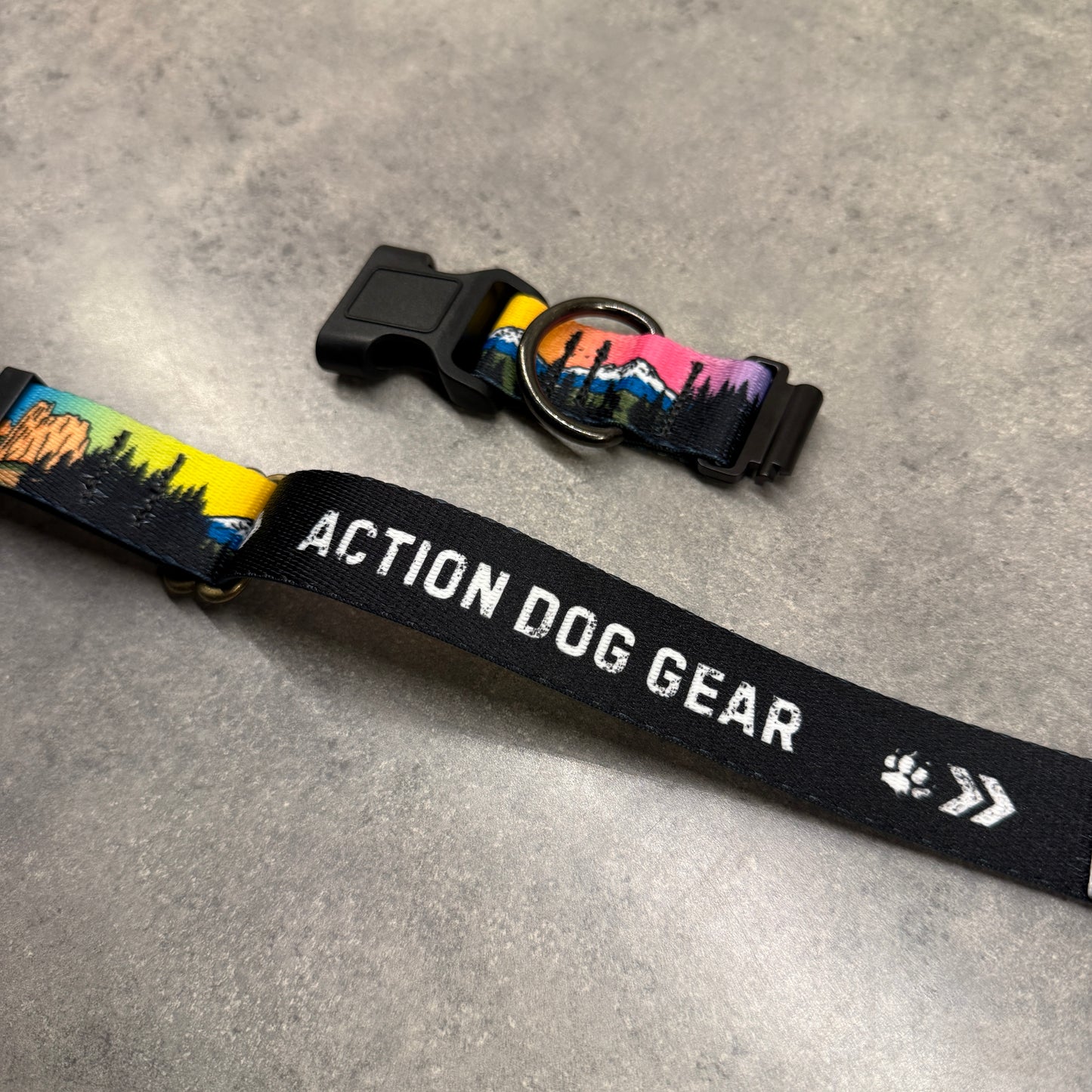 Central Oregon Wonders| FI Series 3/3+ Compatible Collar