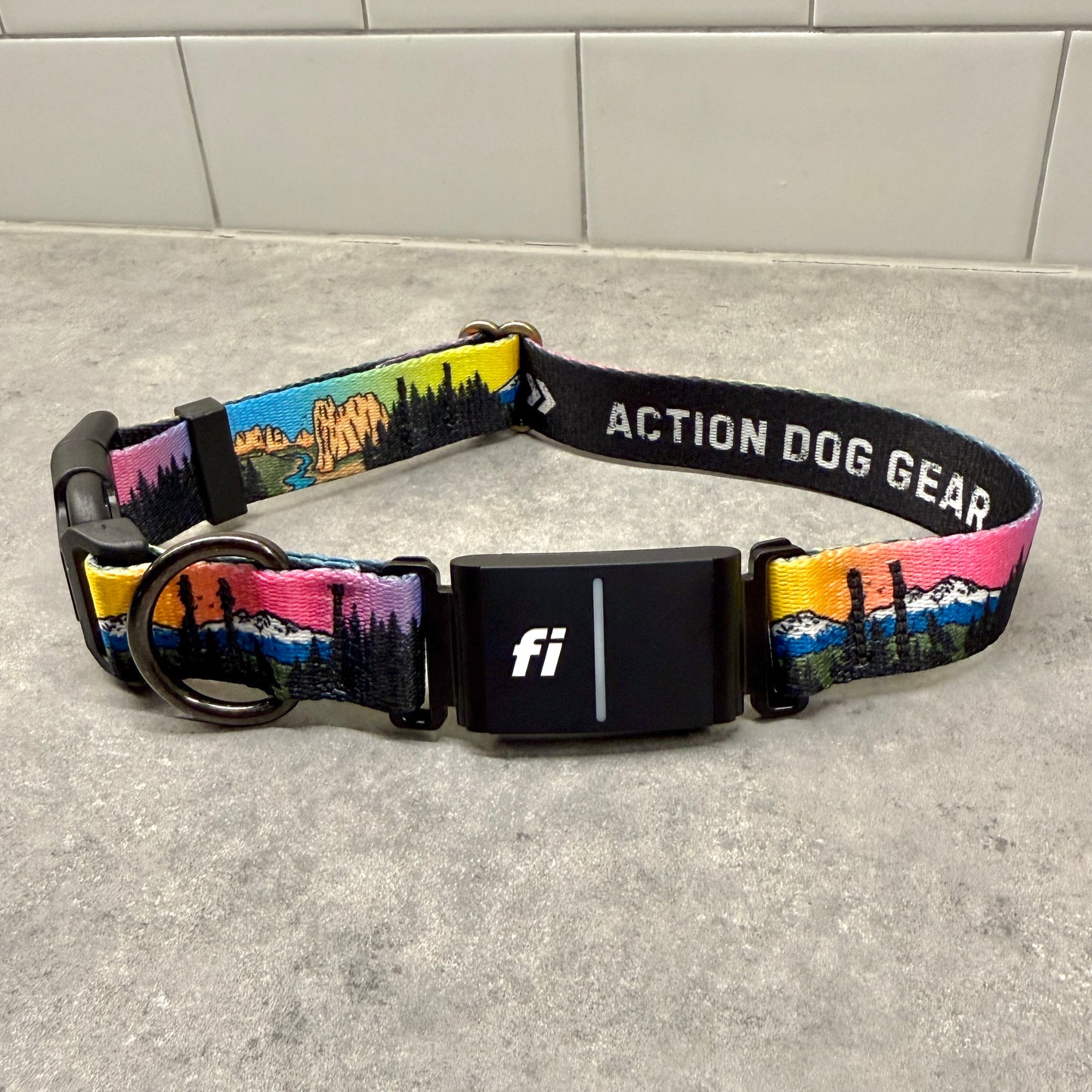 Central Oregon Wonders| FI Series 3/3+ Compatible Collar