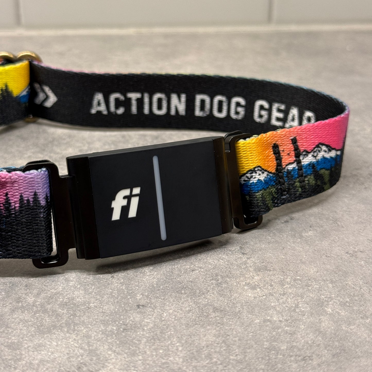 Central Oregon Wonders| FI Series 3/3+ Compatible Collar