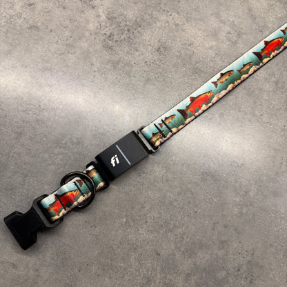 Trout Trekker | FI Series 3/3+ Compatible Collar
