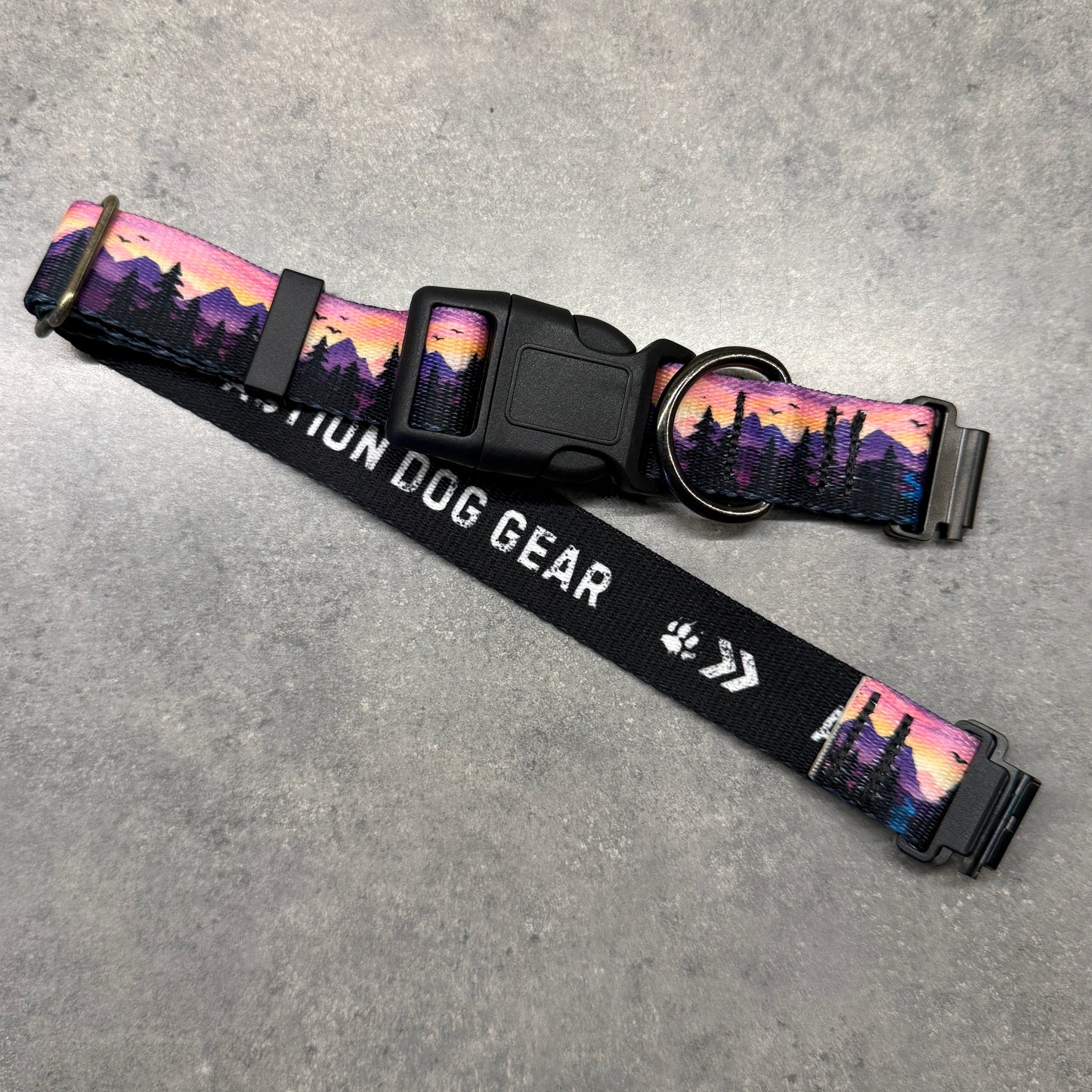 Violet Horizons | FI Series 3/3+ Compatible Collar