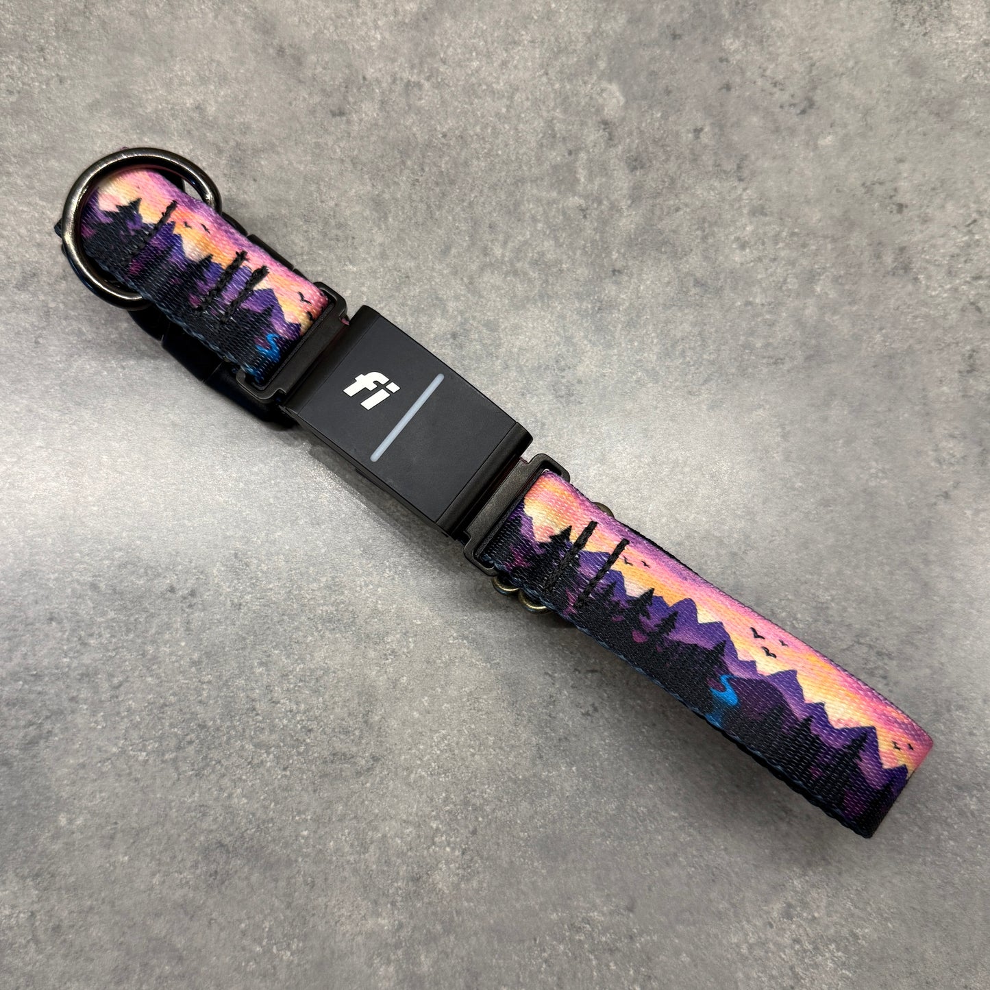 Violet Horizons | FI Series 3/3+ Compatible Collar