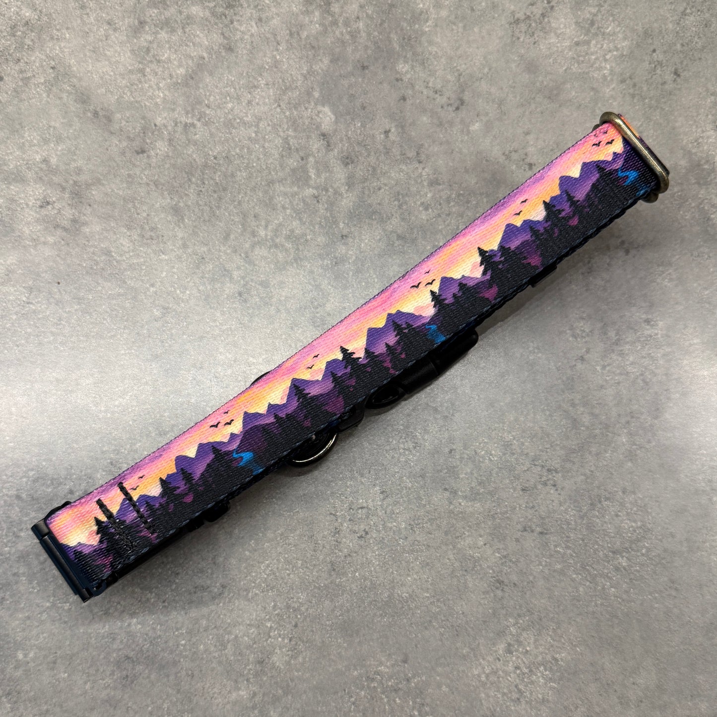 Violet Horizons | FI Series 3/3+ Compatible Collar