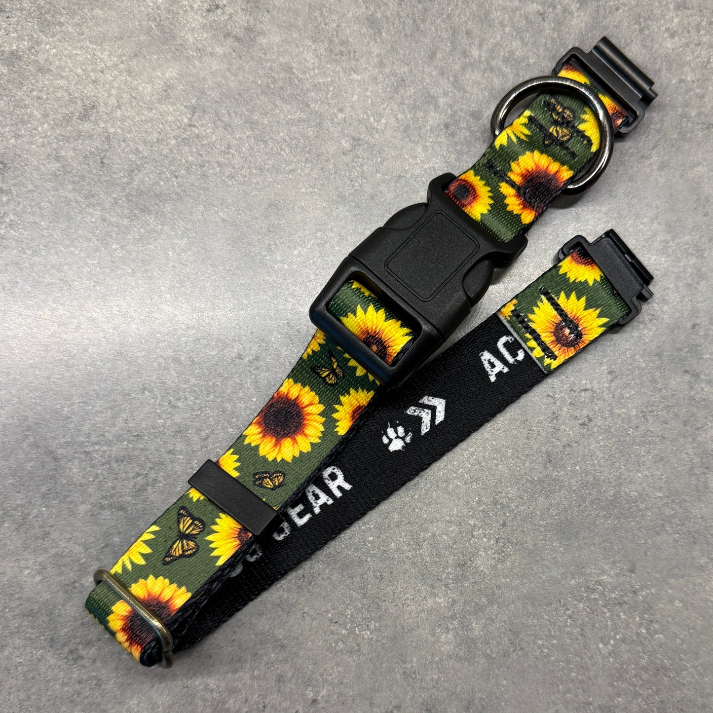 Sunflower Paradise | FI Series 3/3+ Compatible Collar