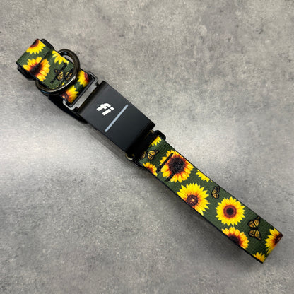 Sunflower Paradise | FI Series 3/3+ Compatible Collar