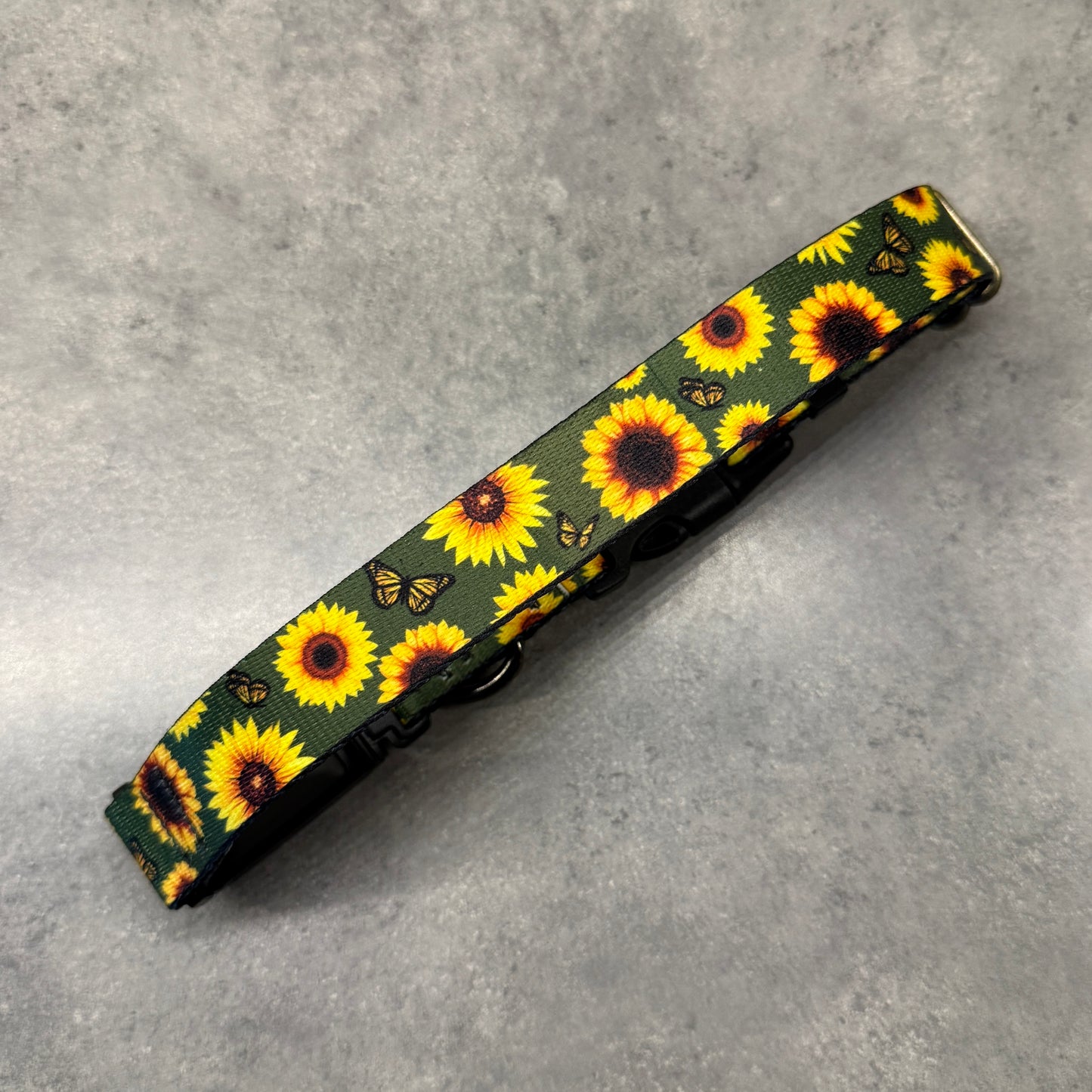 Sunflower Paradise | FI Series 3/3+ Compatible Collar