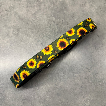Sunflower Paradise | FI Series 3/3+ Compatible Collar