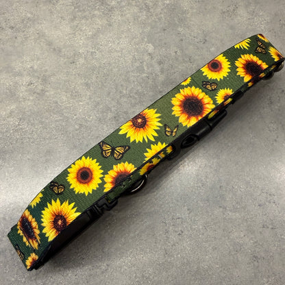 Sunflower Paradise | FI Series 3/3+ Compatible Collar